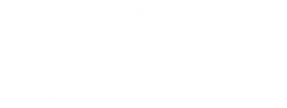 Punto Olivo